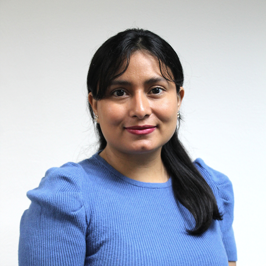 Denisse Briceño Puch